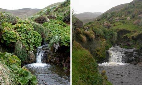 antartida1 antartida1