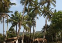 Las dos caras de Sierra Leona